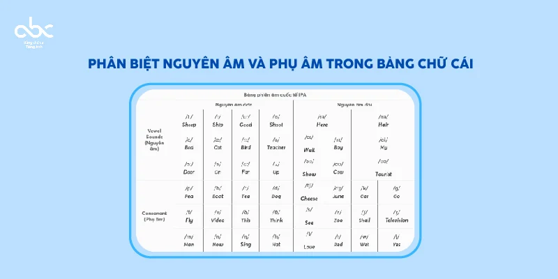 Phân biệt nguyên âm và phụ âm trong bảng chữ cái